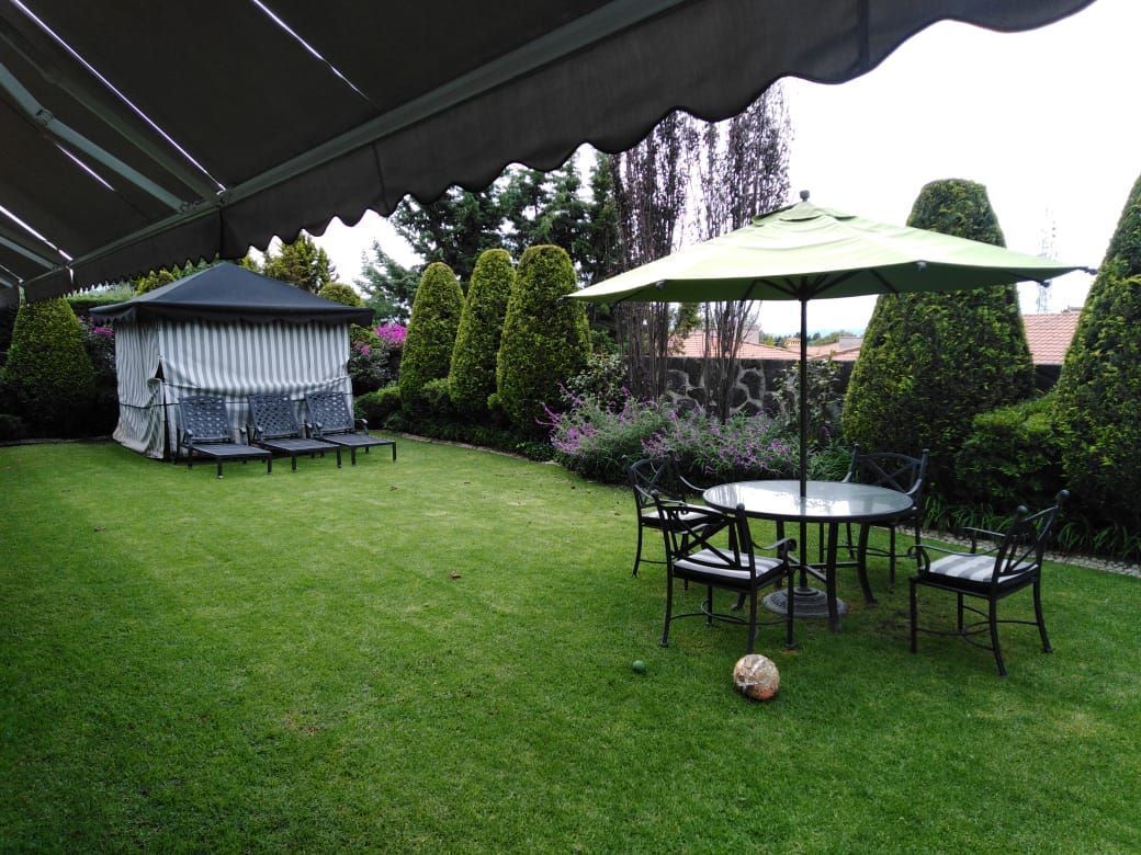 11 de 24: Jardín con Jacuzzi al fondo