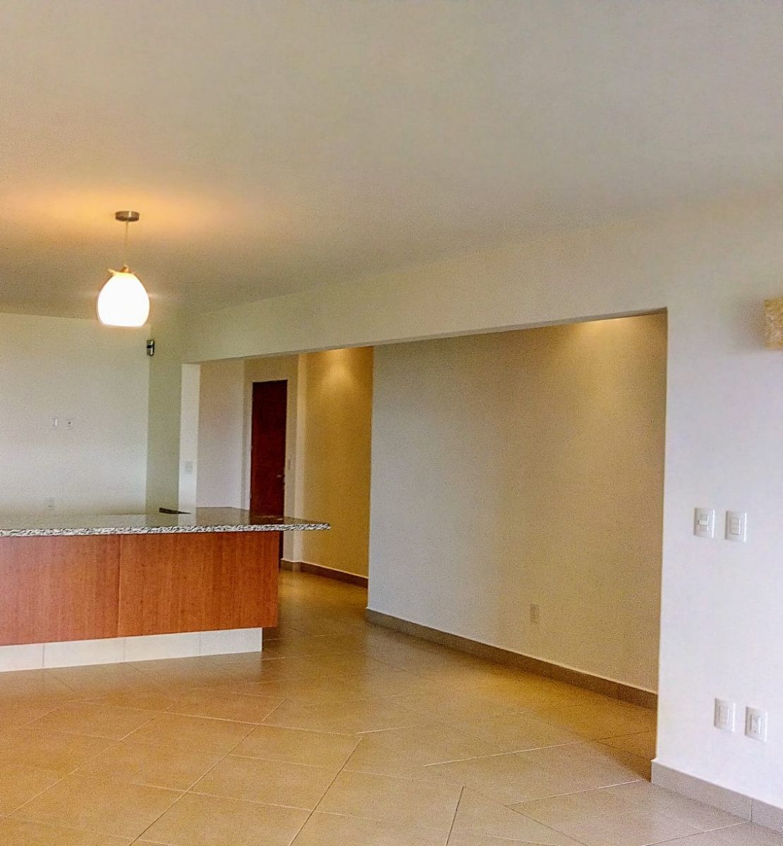 3 de 21: Vista hacia la entrada desde la estancia