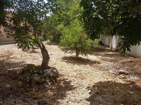 Jardín muy amplio, se puede construir mas habitaciones.