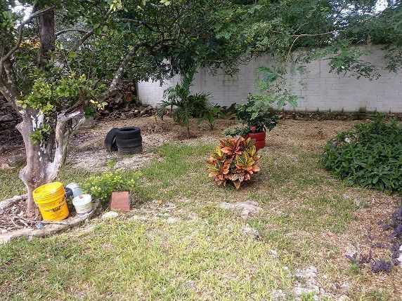 Otra área del jardín y del terreno