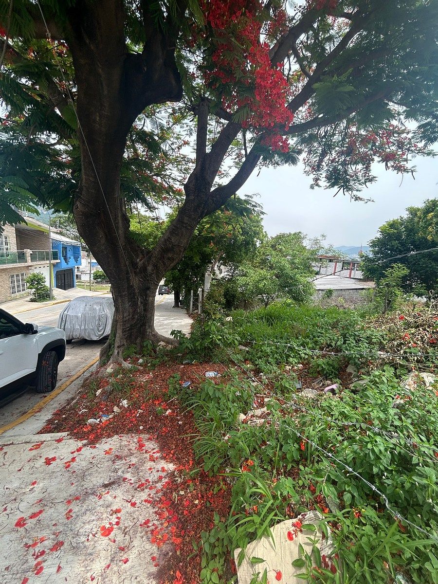 Lote em Lomas del Venado, Tuxtla Gutiérrez, foto 12 de 16