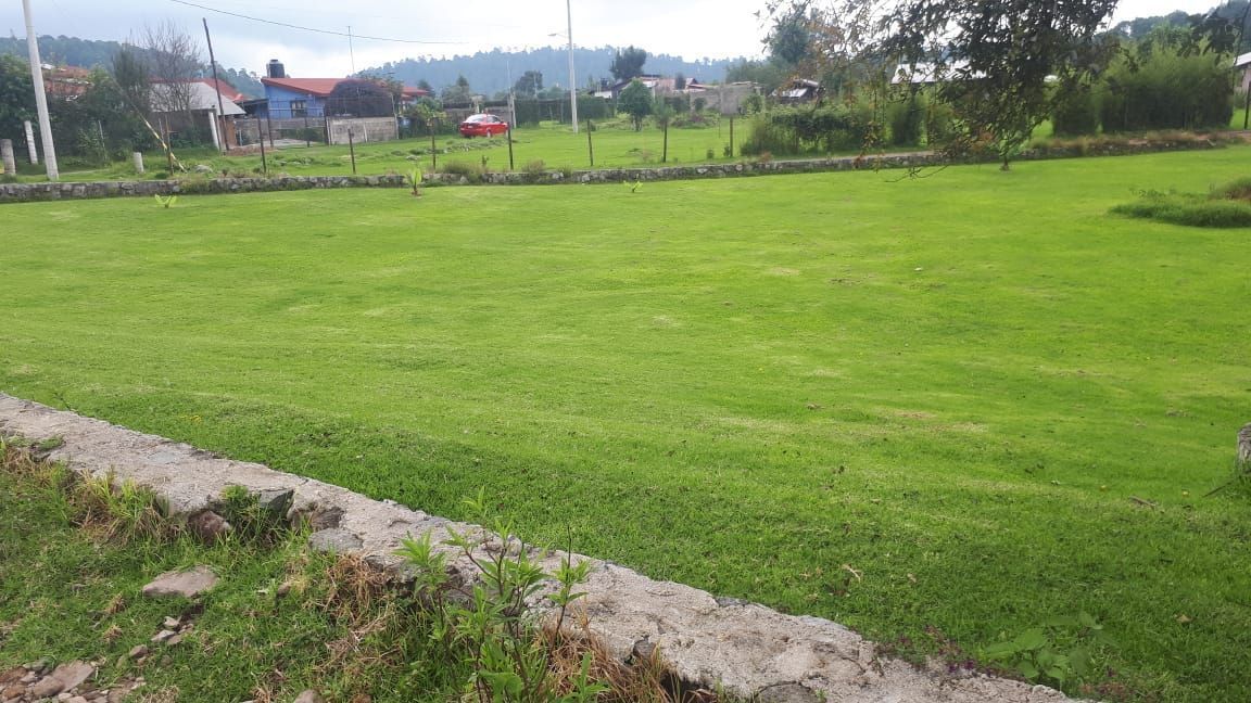 2 de 6