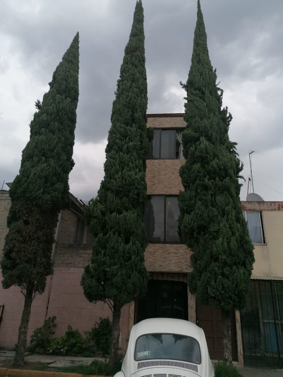 1 de 19