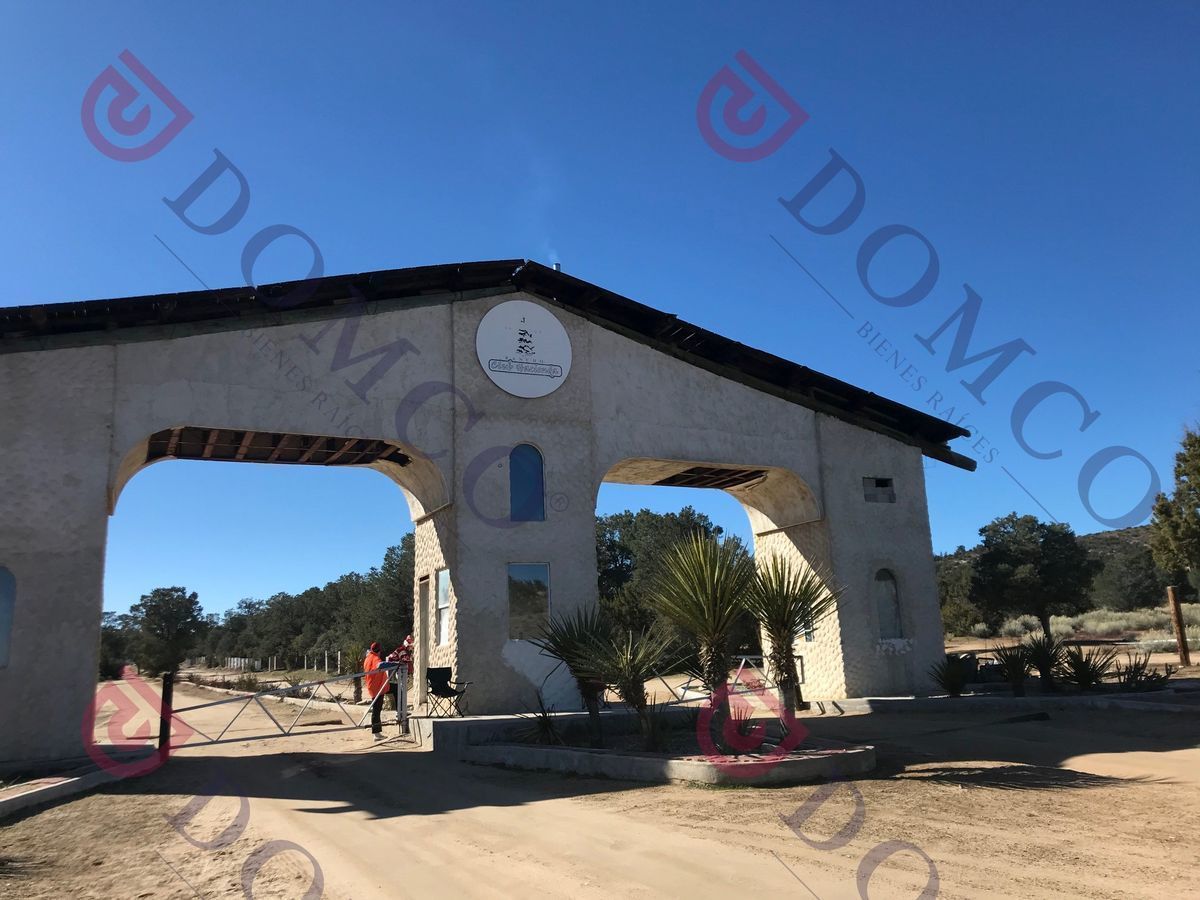 5 de 5