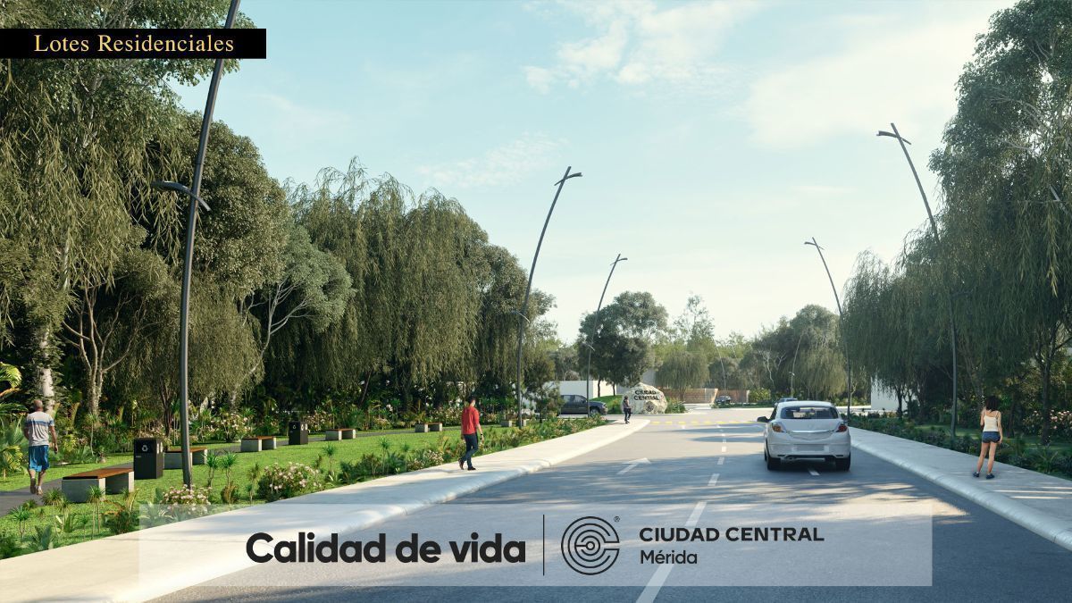 5 de 46