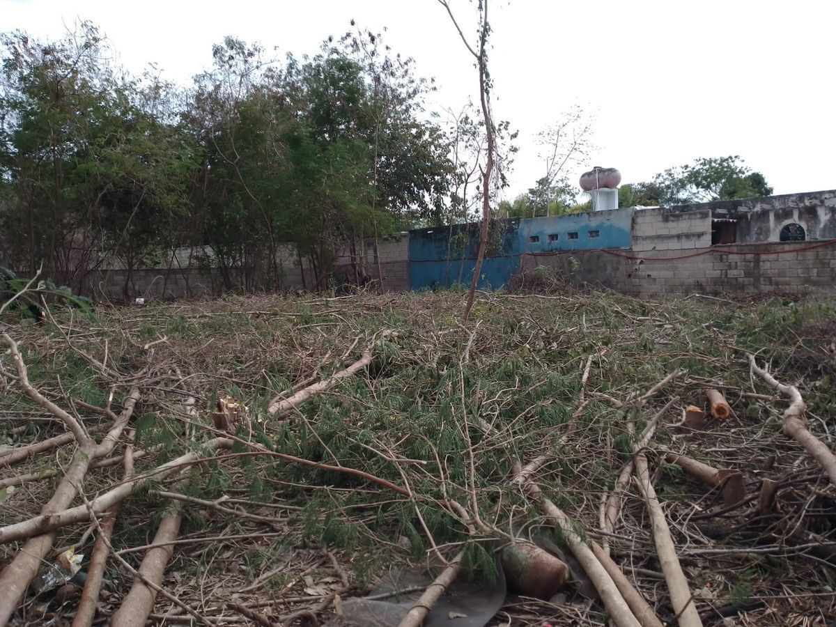 Terreno en Jardines de Mérida, Mérida, foto 2 de 4