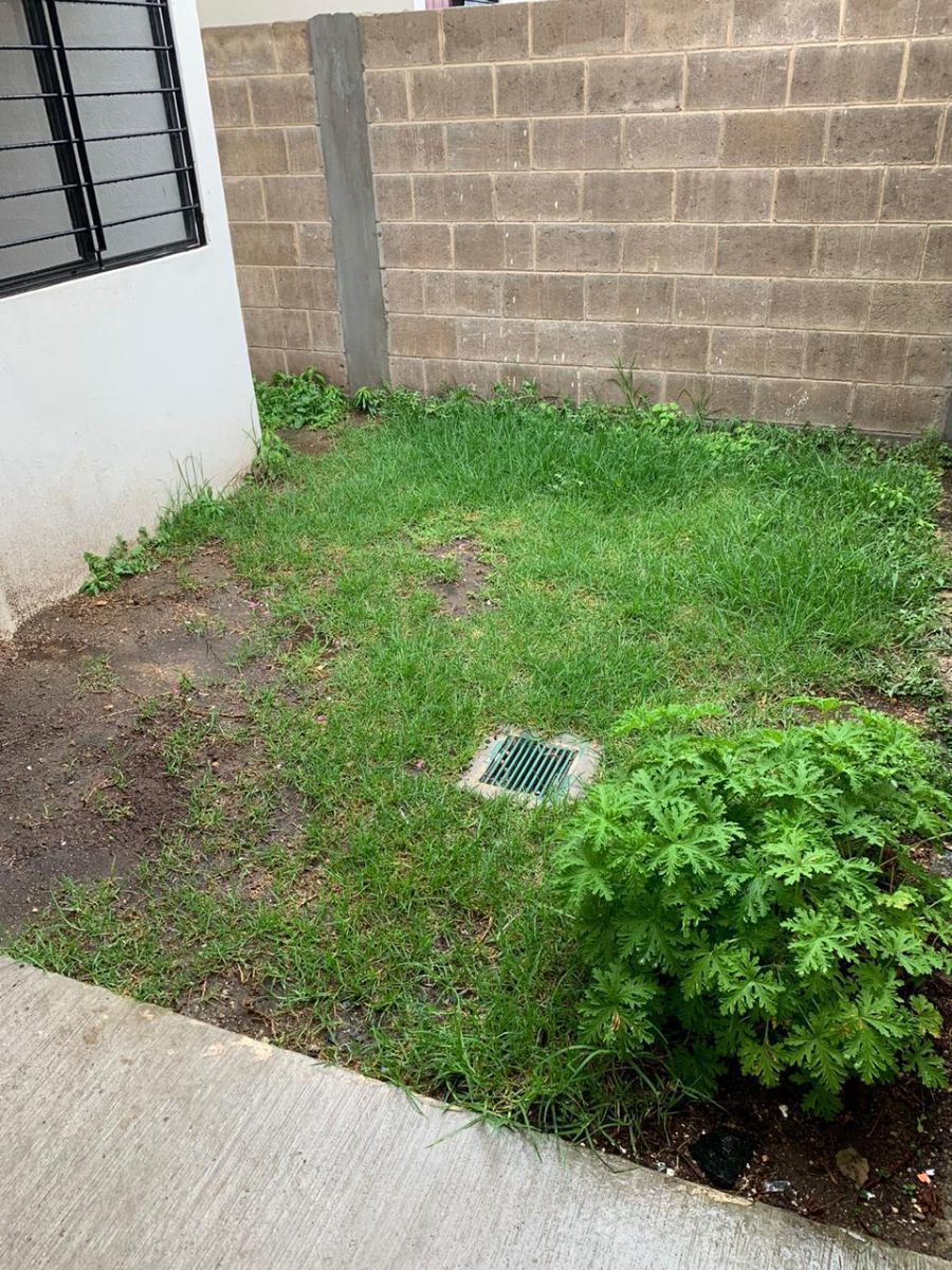 3 de 20