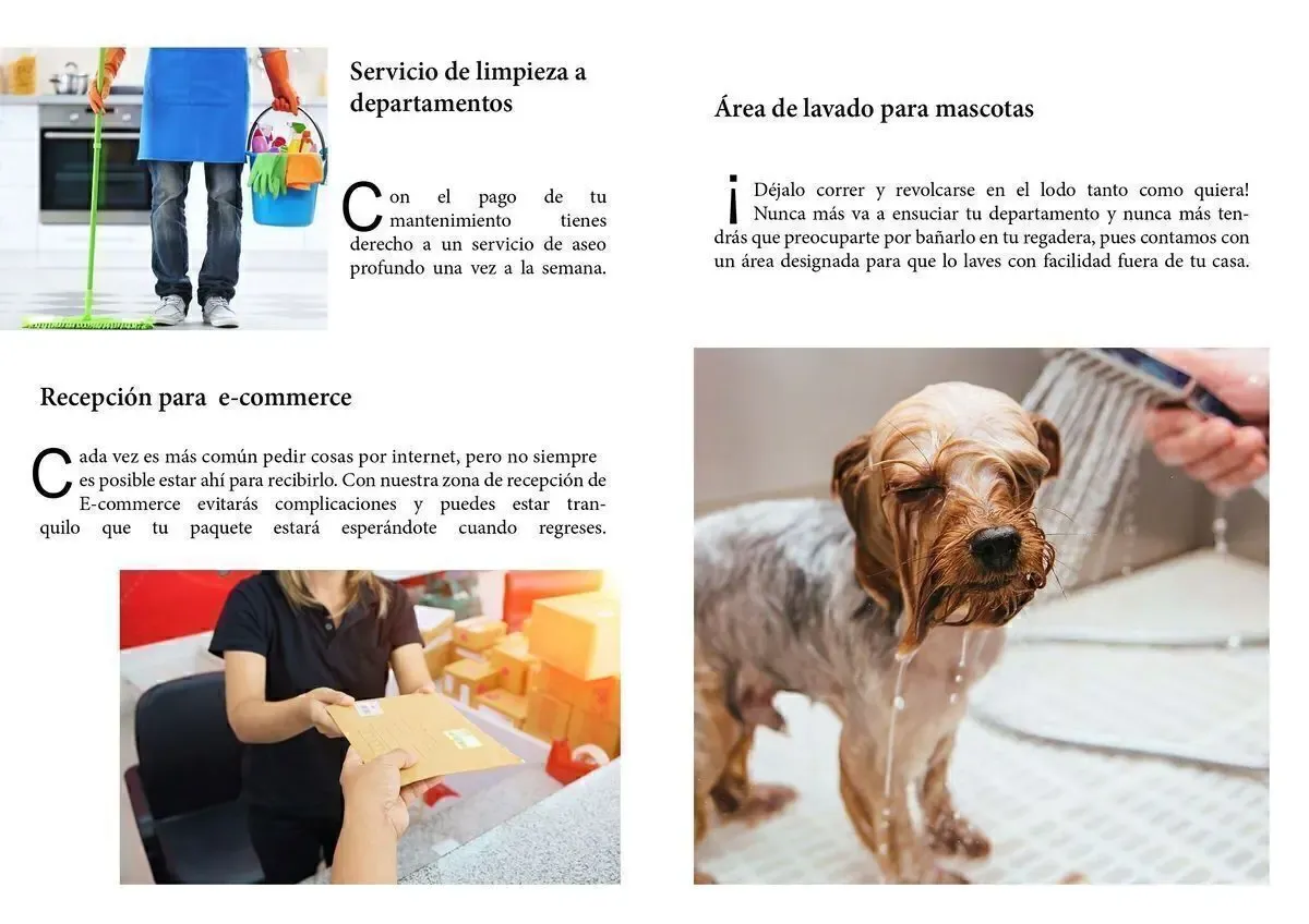 8 de 10