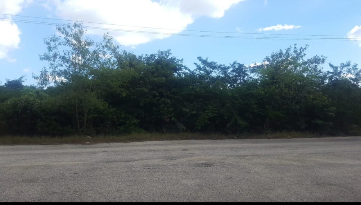 1 de 1: imagen del terreno
