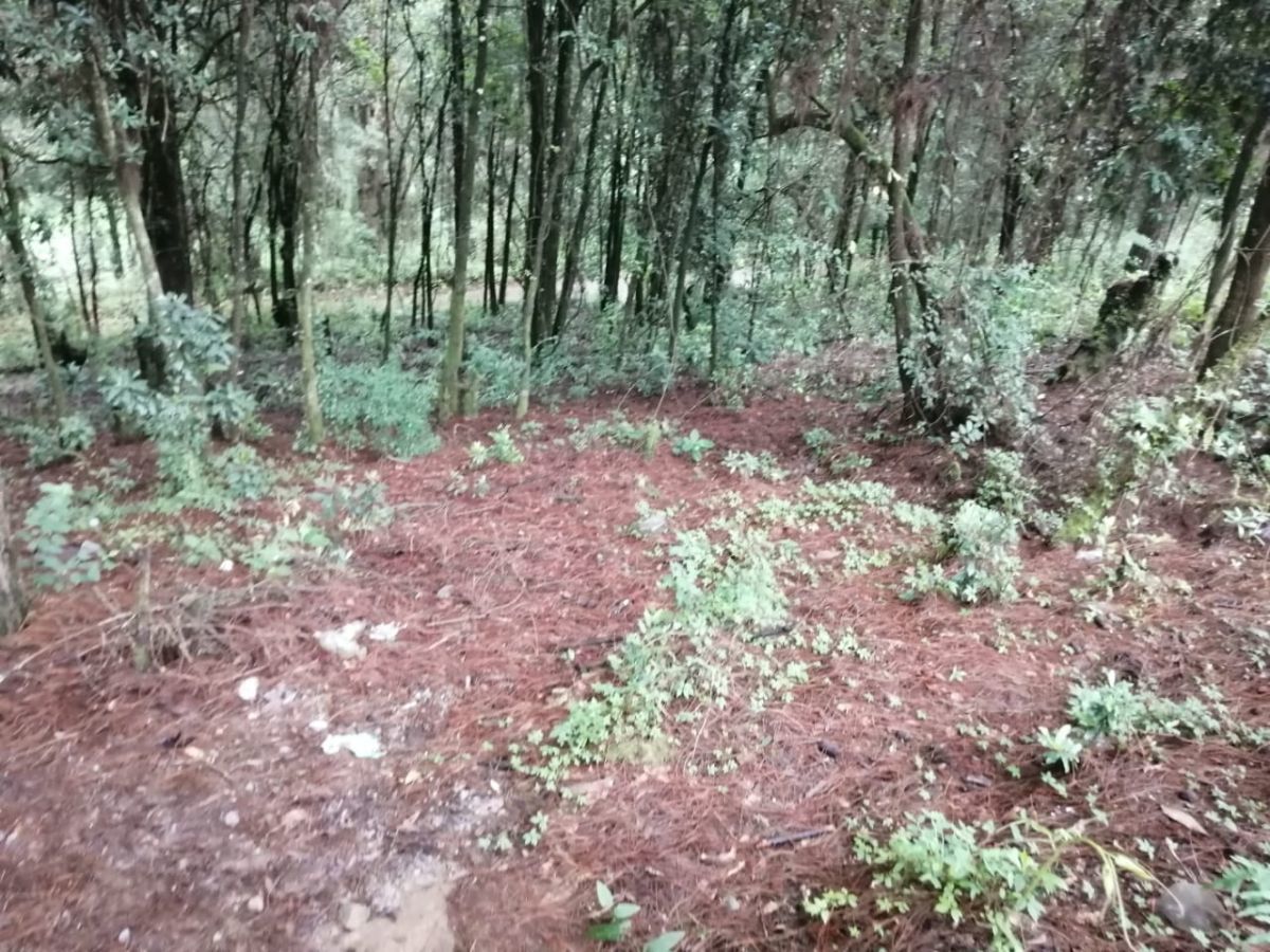 5 de 10