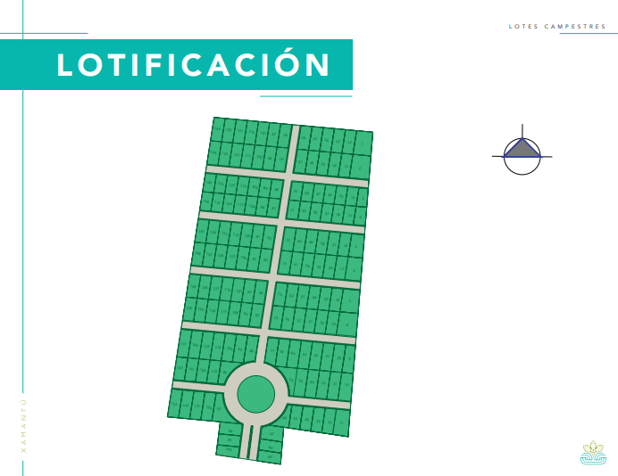6 de 13: LOTIFICACION
