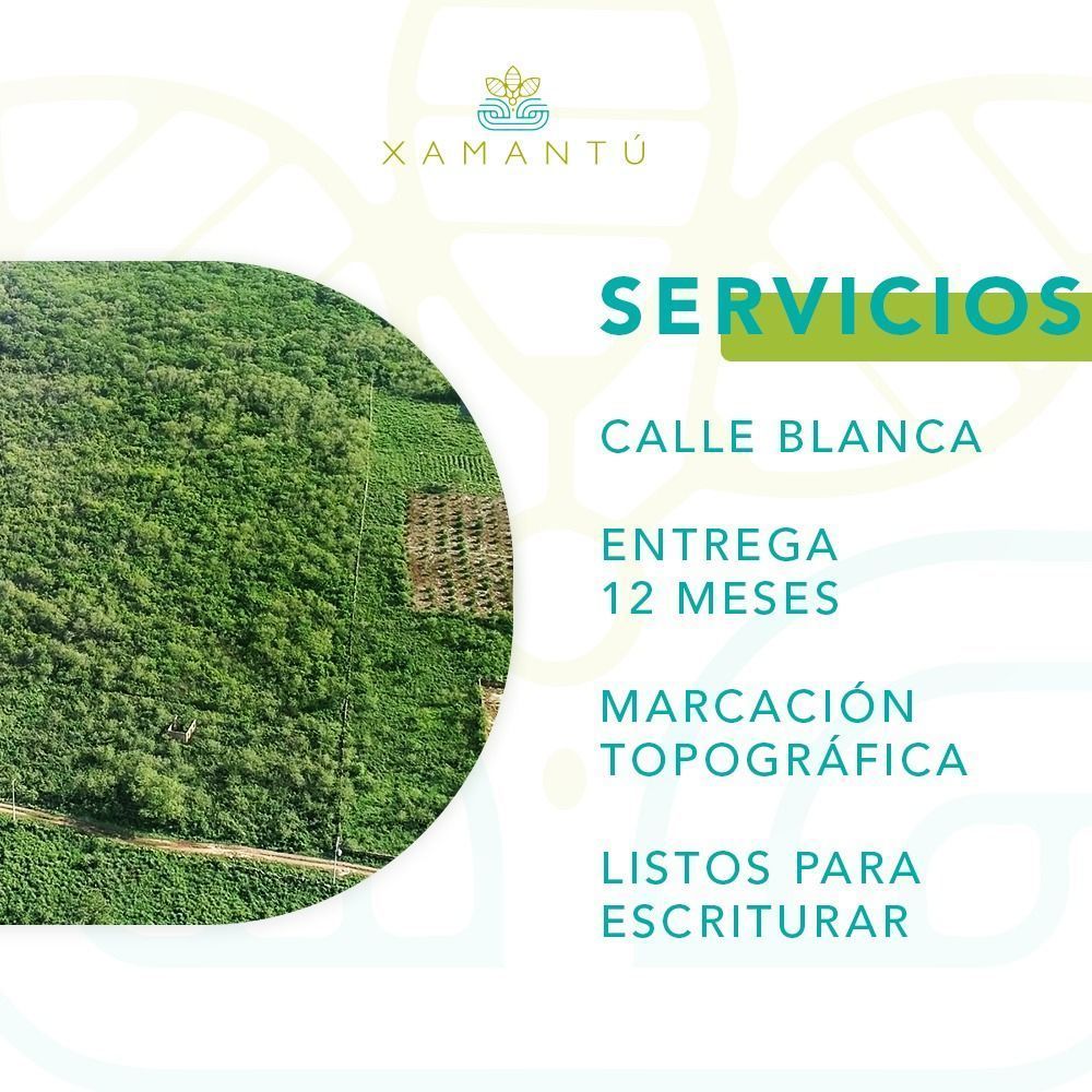 7 de 13: SERVICIOS