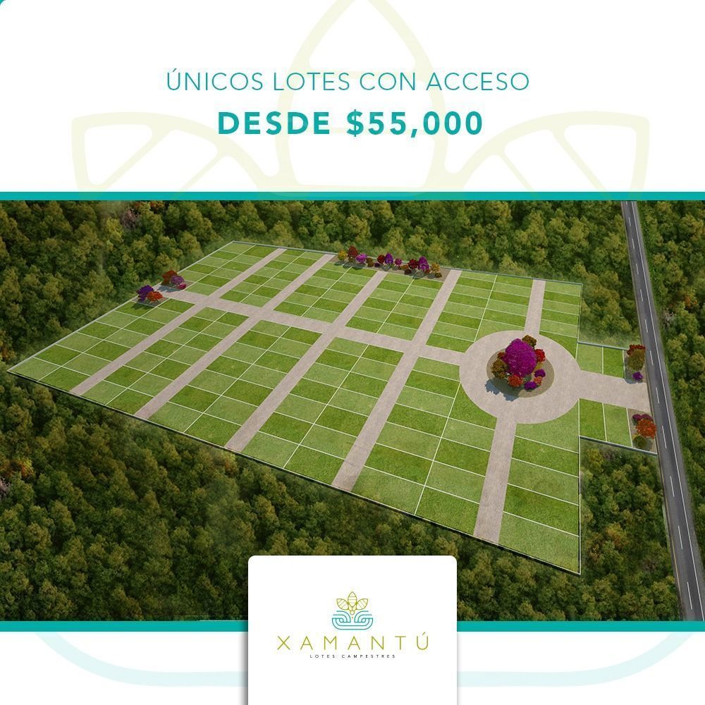 5 de 13: DESDE $55,000