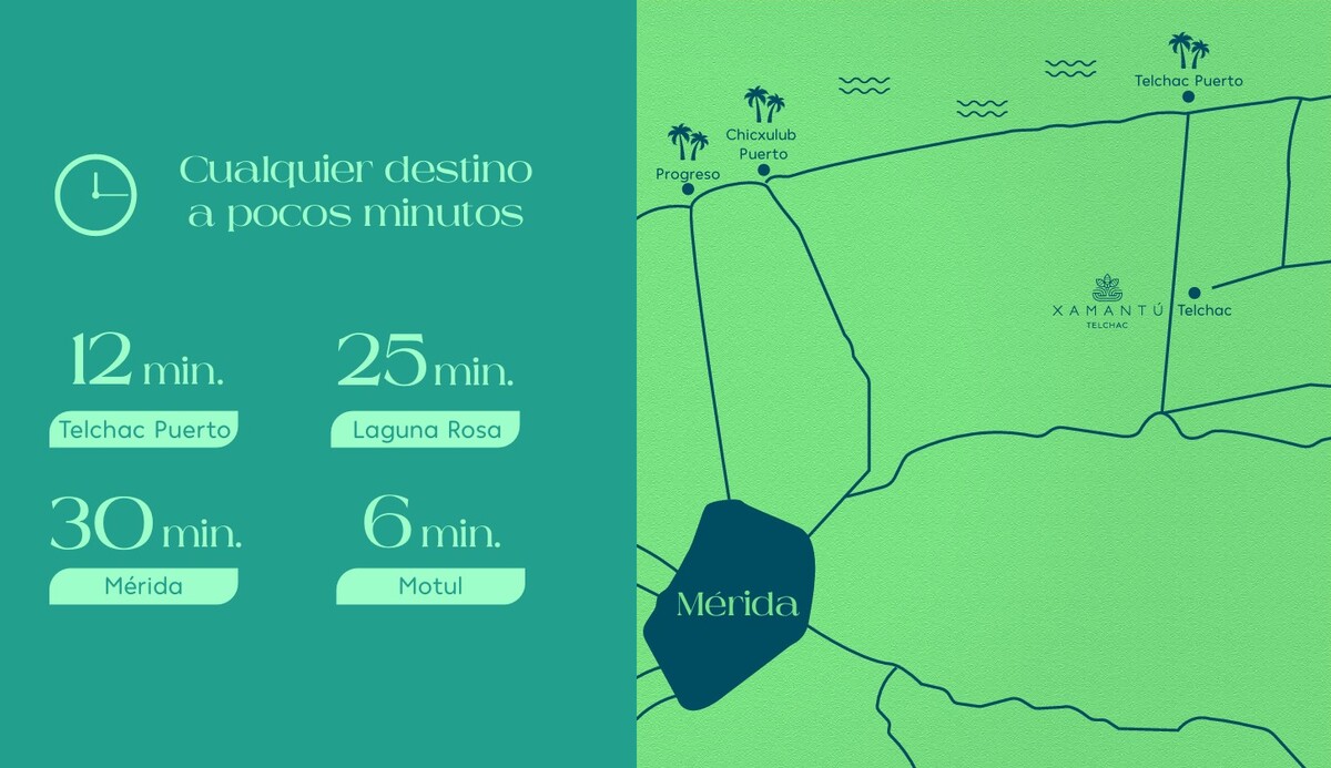 12 de 13