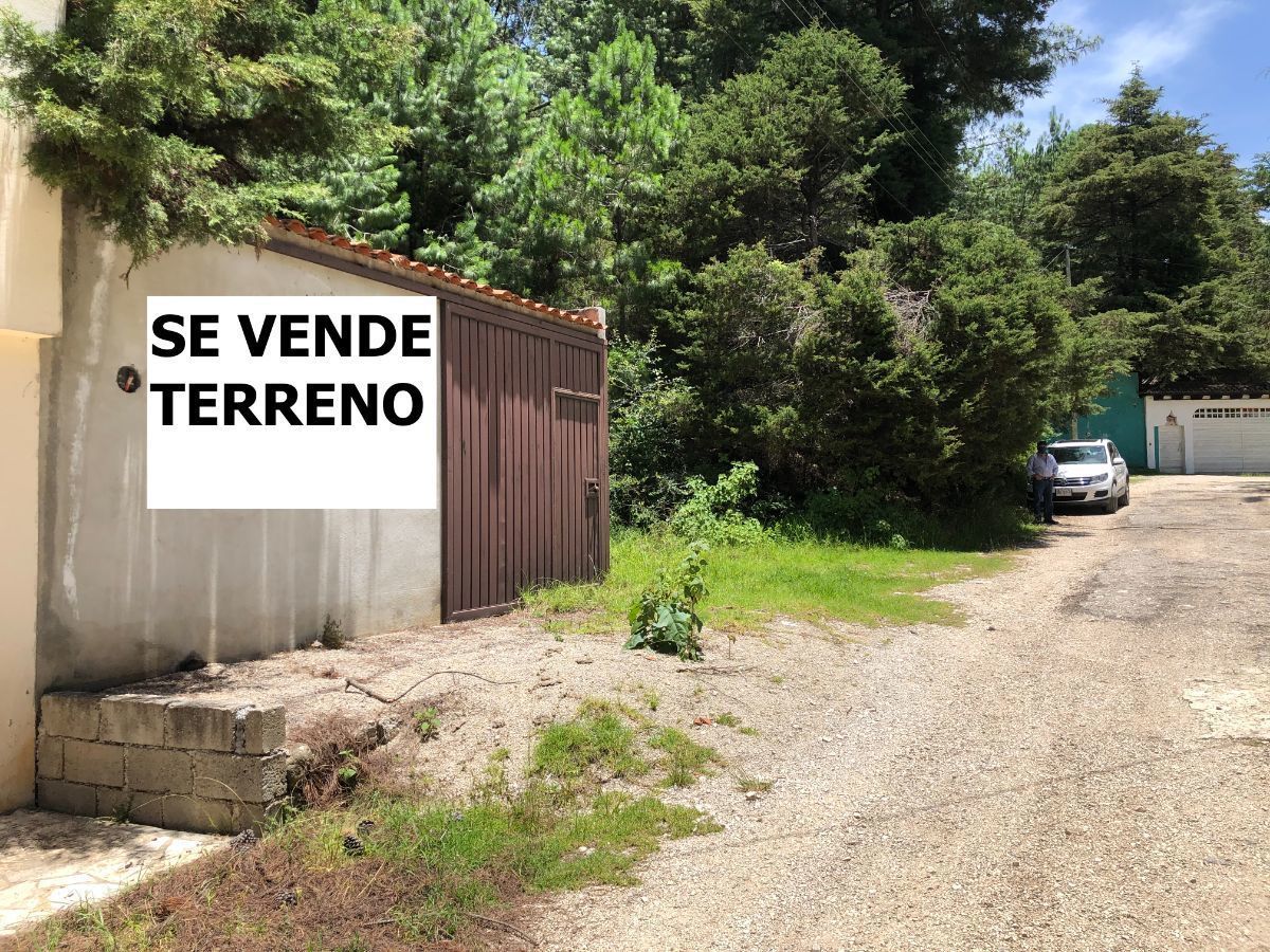 Imagen 1 de 10