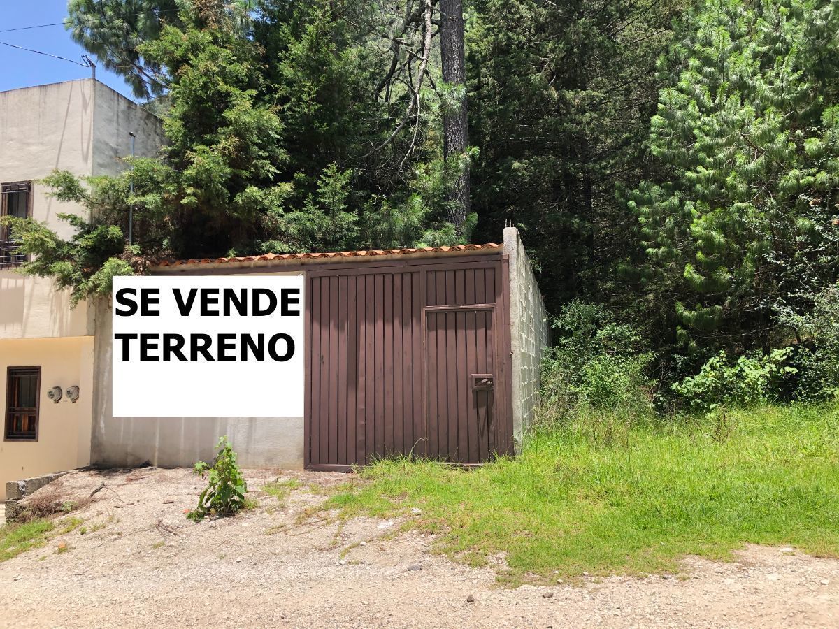 Imagen 4 de 10