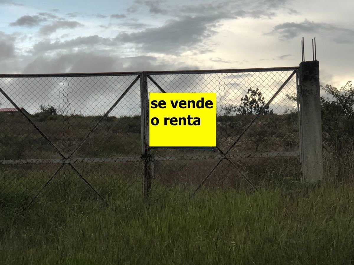 Imagen 6 de 10