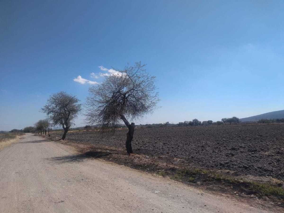 Venta de 1 hectáreas - foto 4