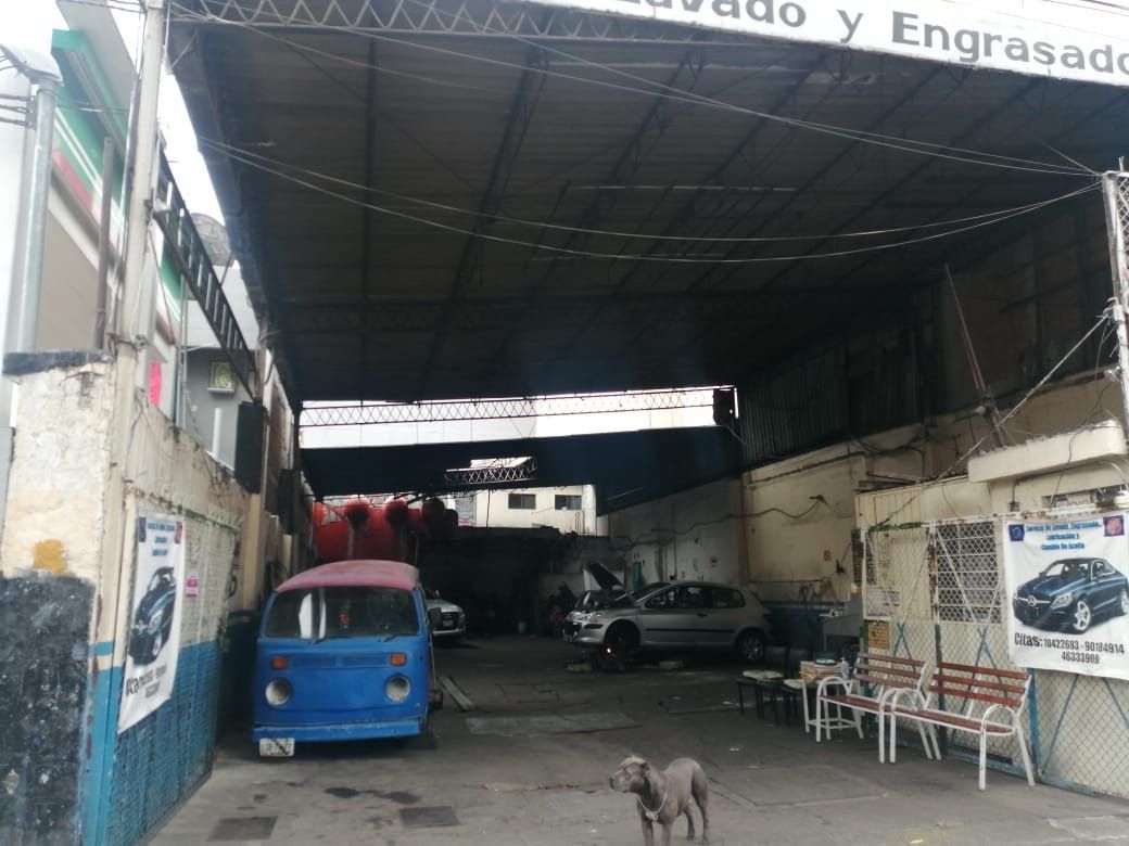 5 de 8
