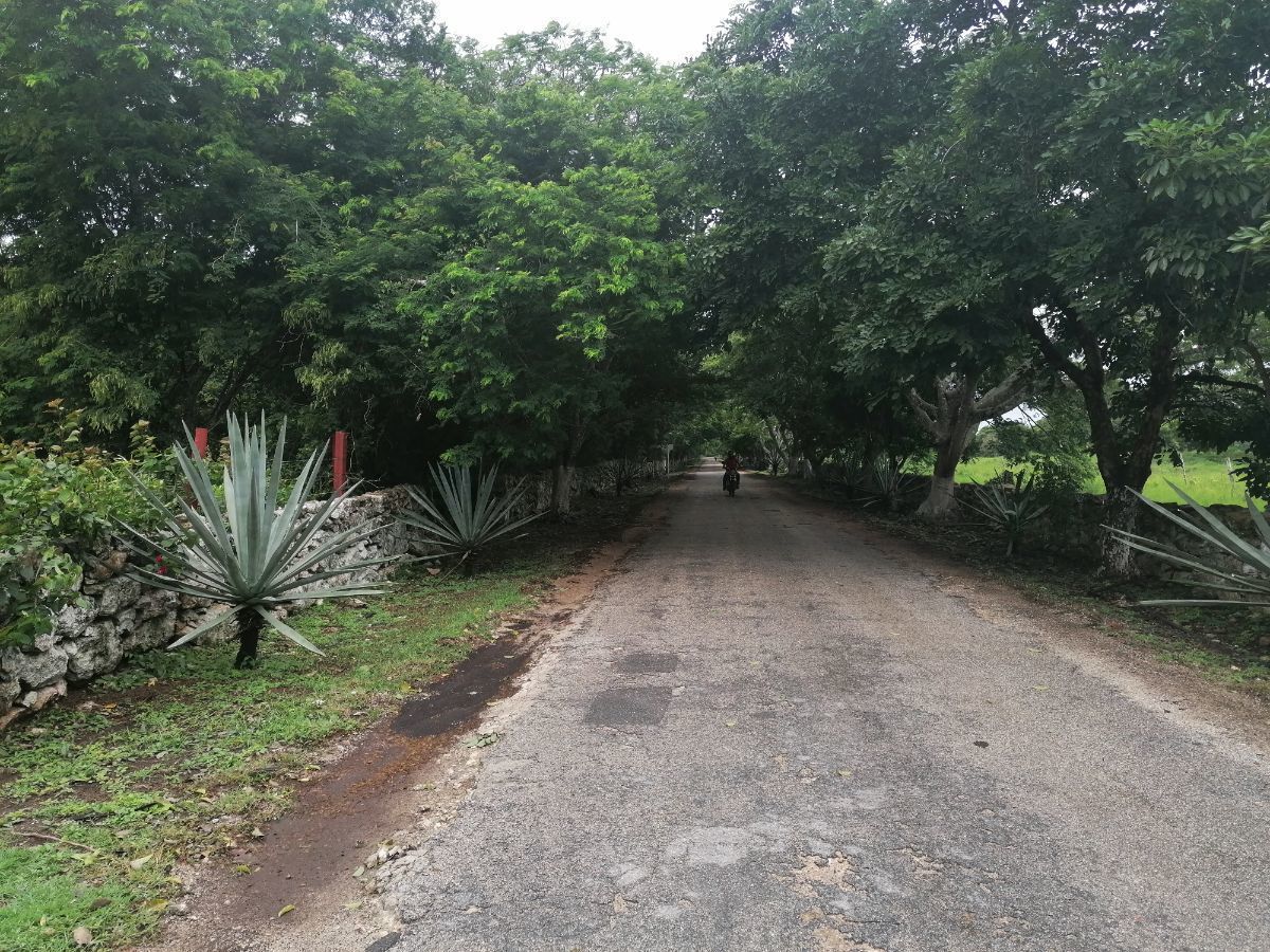4 de 18