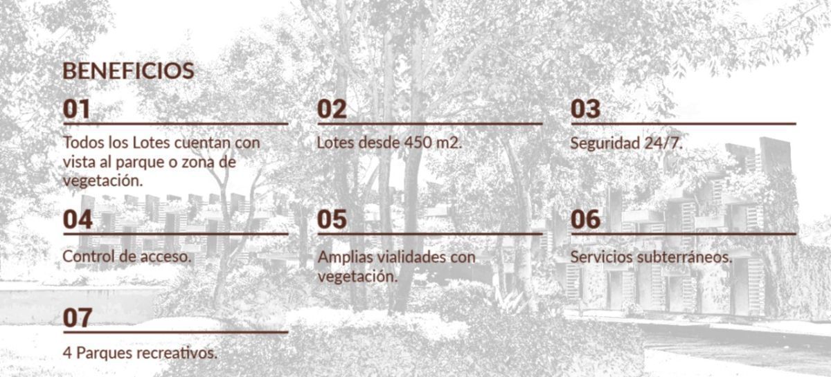 9 de 10