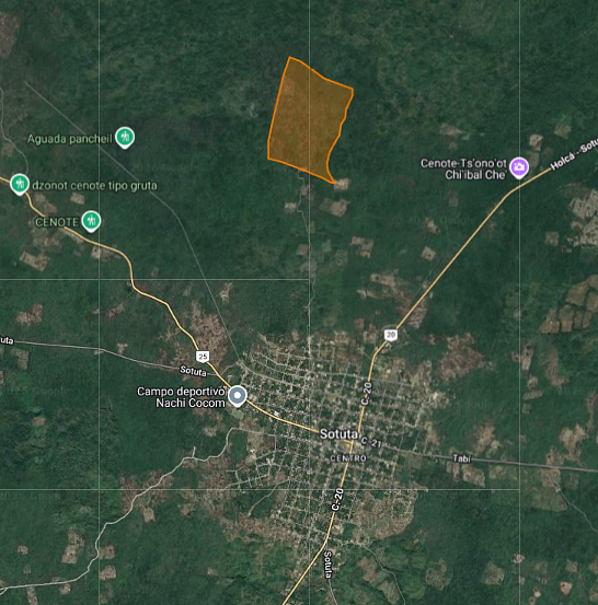 Terreno en venta, son 81 hectáreas Sotuta, Yucatán. Propiedad legal., foto 1 de 5