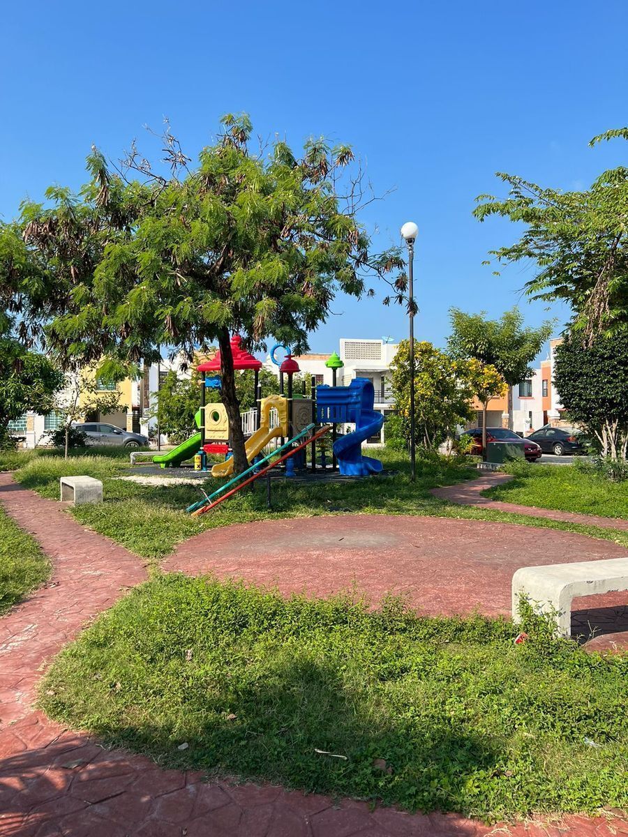 11 de 12