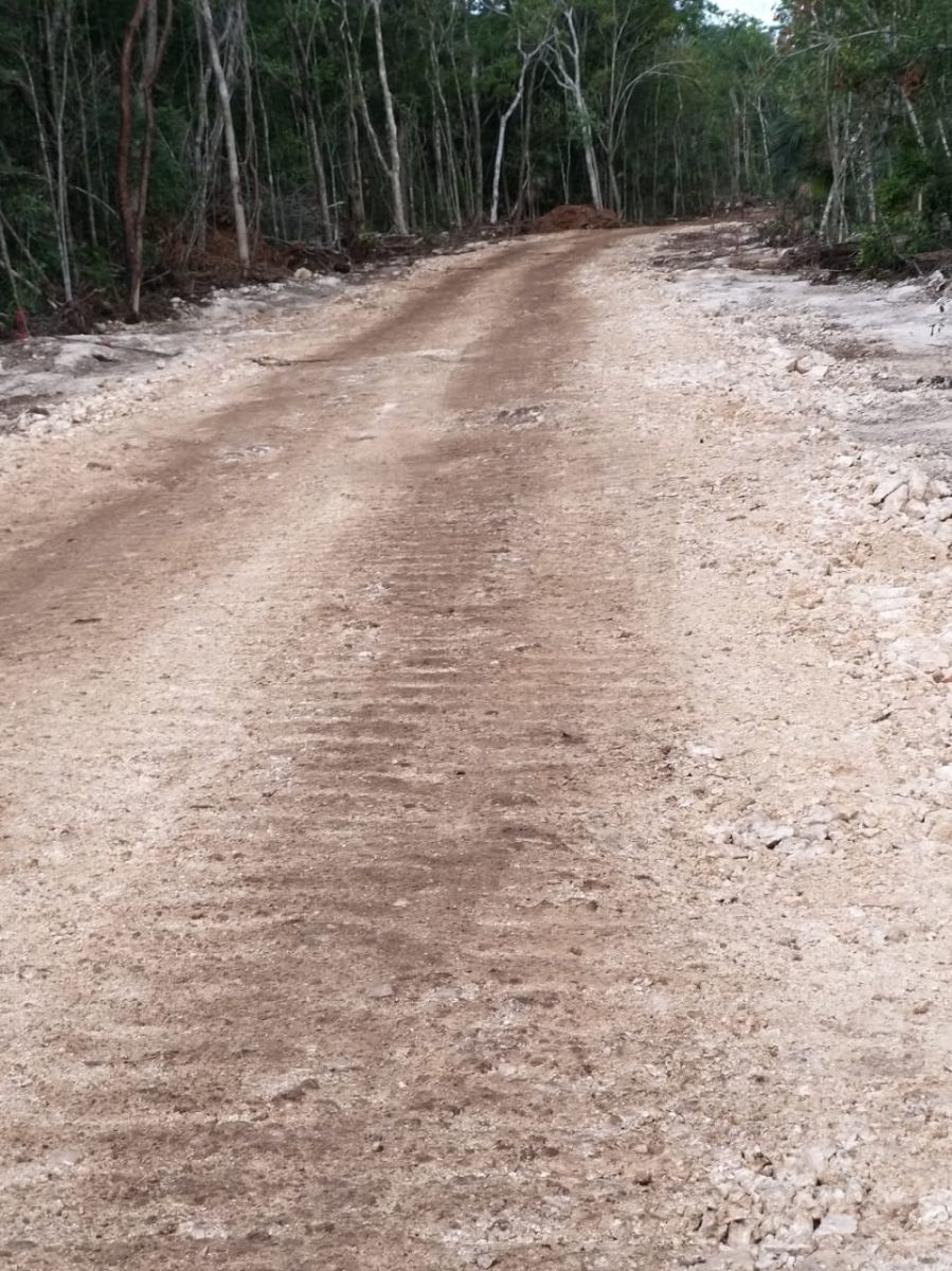 Terreno en Tulum Centro, Tulum, foto 7 de 12