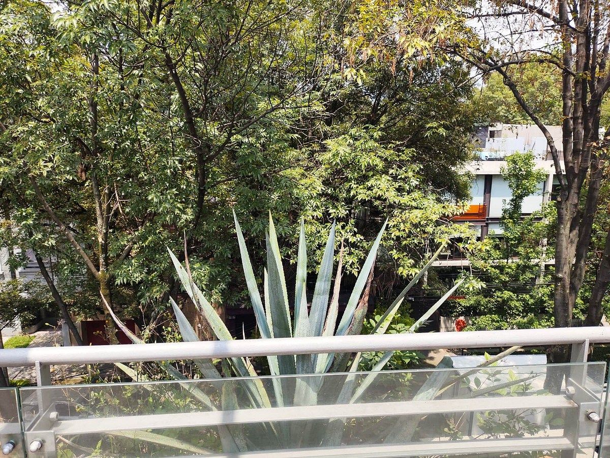 Apartamento em Polanco IV Sección, Miguel Hidalgo, foto 14 de 48