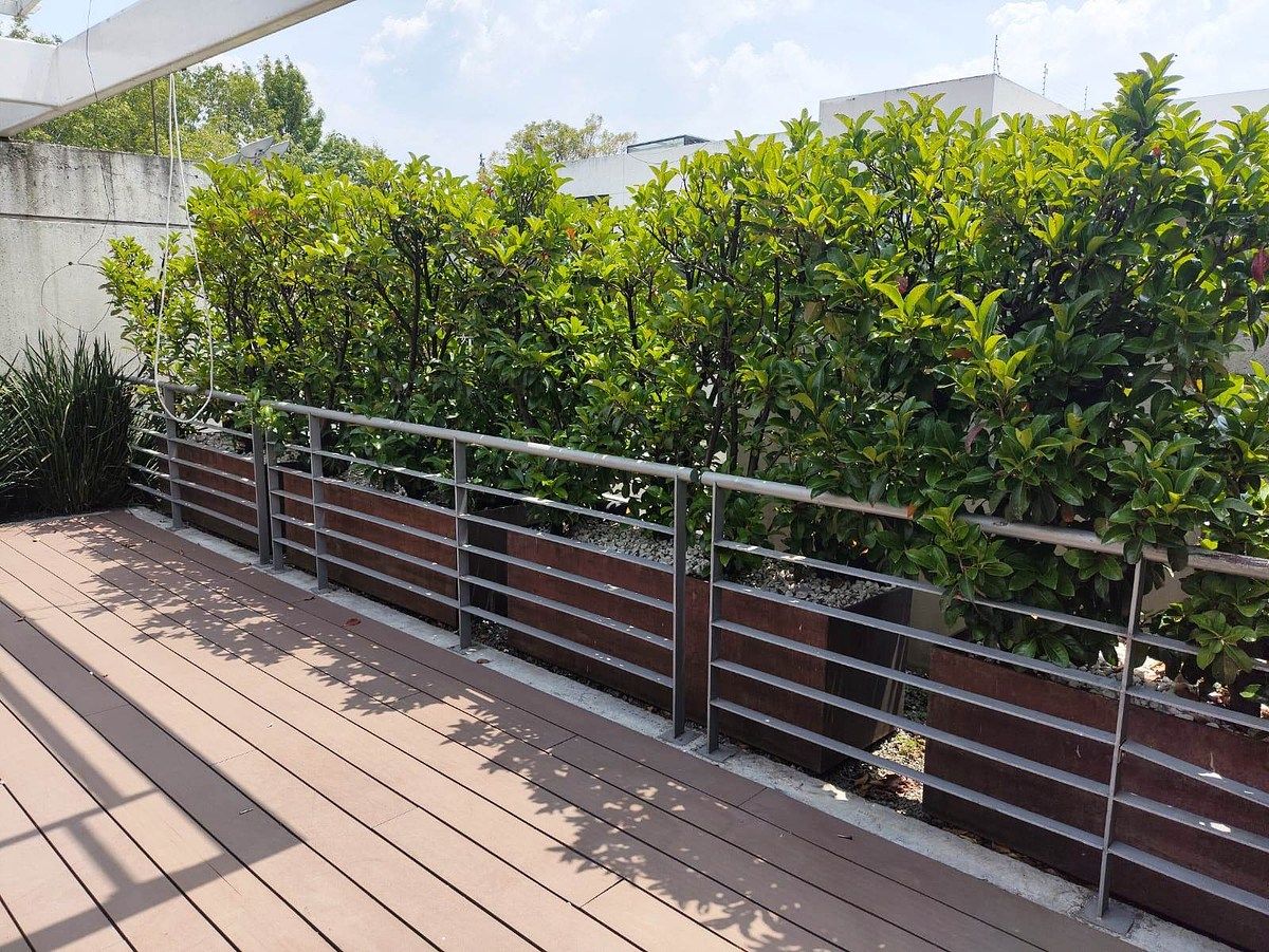 Apartamento em Polanco IV Sección, Miguel Hidalgo, foto 46 de 48