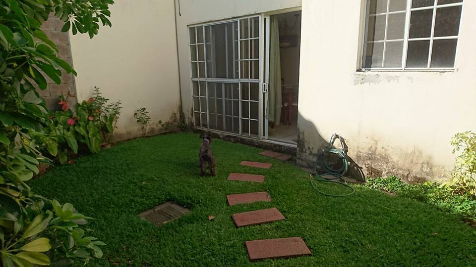 5 de 9