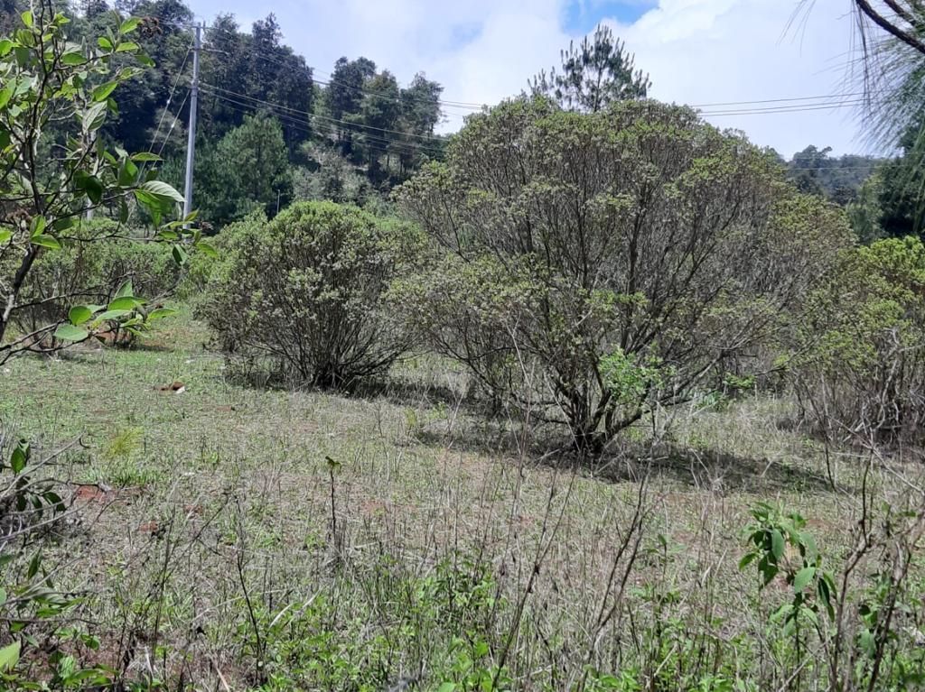 2 de 6