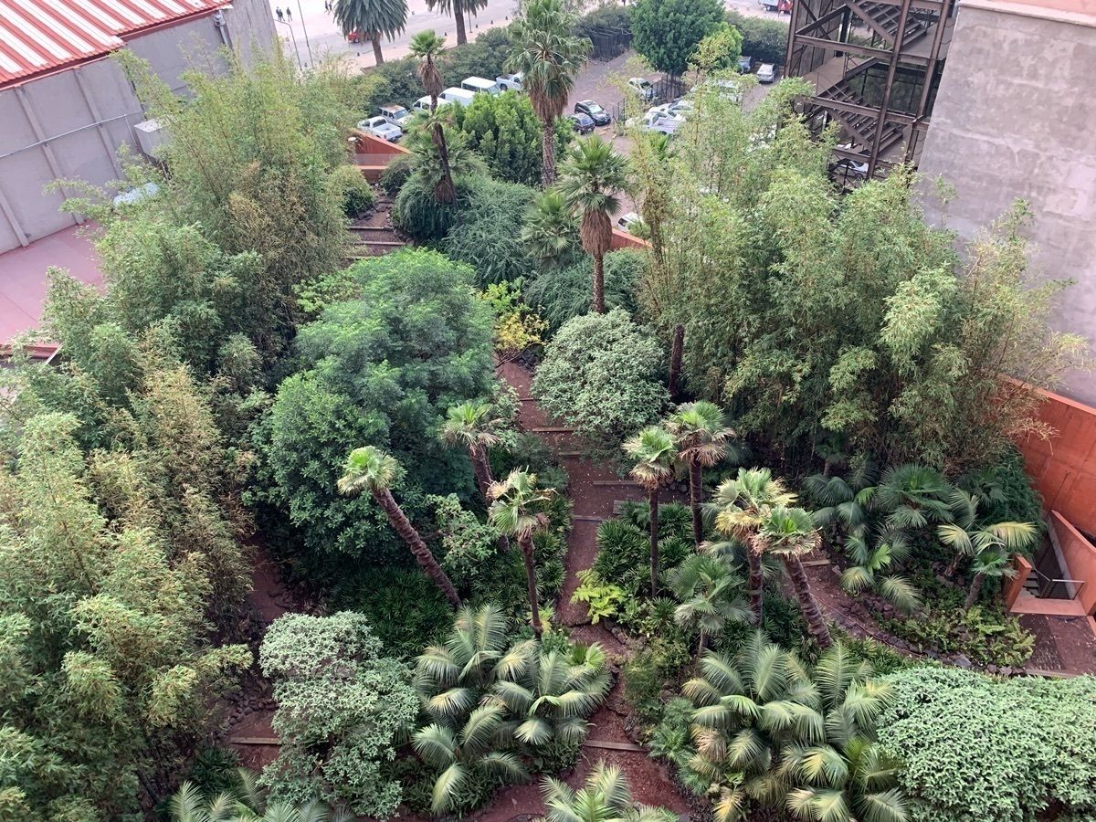 6 of 10: 2,200 m2 de jardín externo