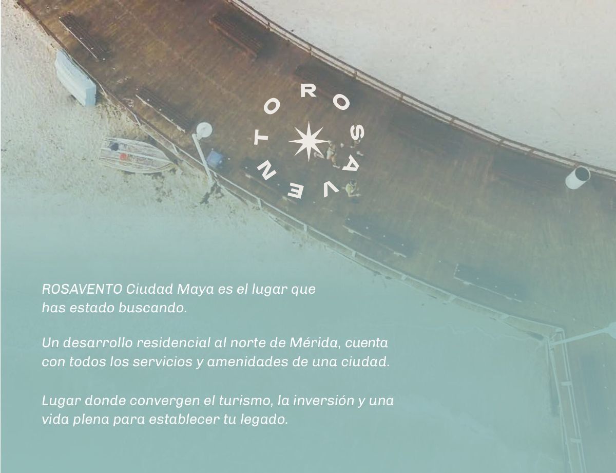 2 de 24