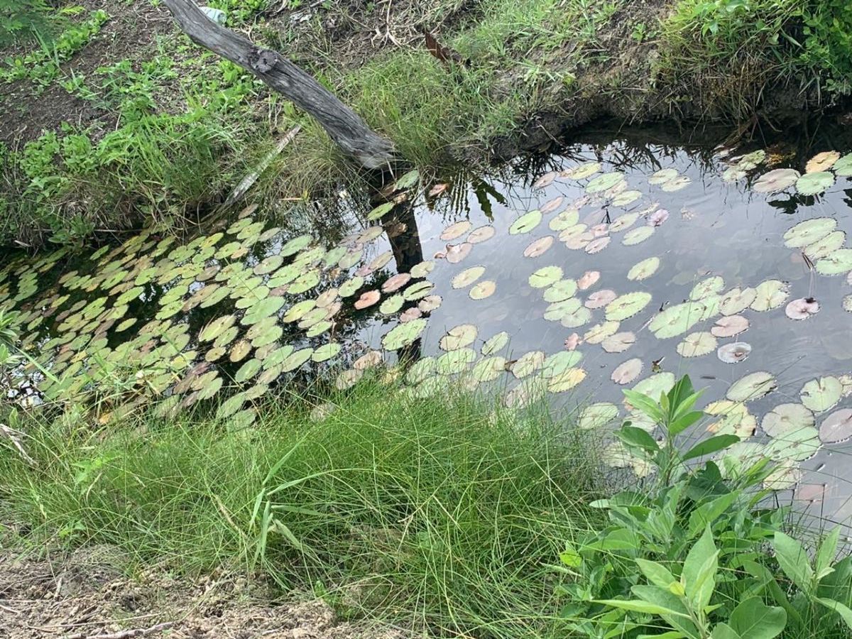 VENTA TERRENO CON CANAL DE AGUA