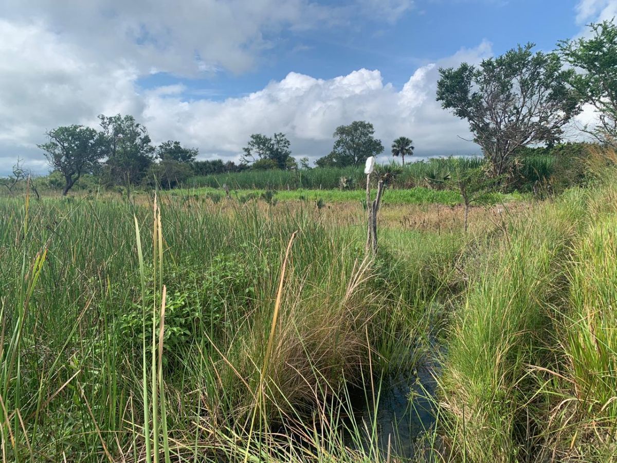 VENTA DE HERMOSO TERRENO