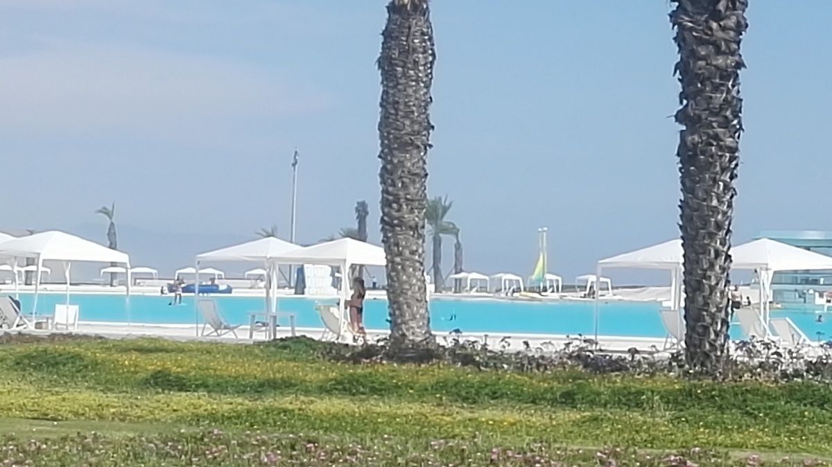 4 de 24