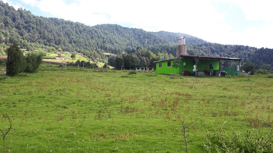 2 de 4