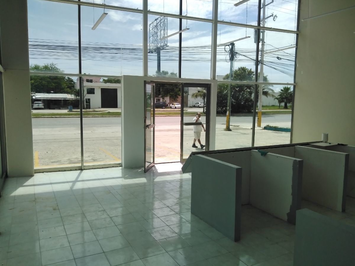 5 de 17