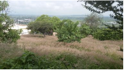 TERRENO EN ABASOLO - foto 4