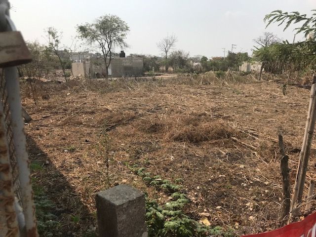 5 de 5: TERRENO DESDE ANGULO Y COLINDANCIA IZQUIERDA