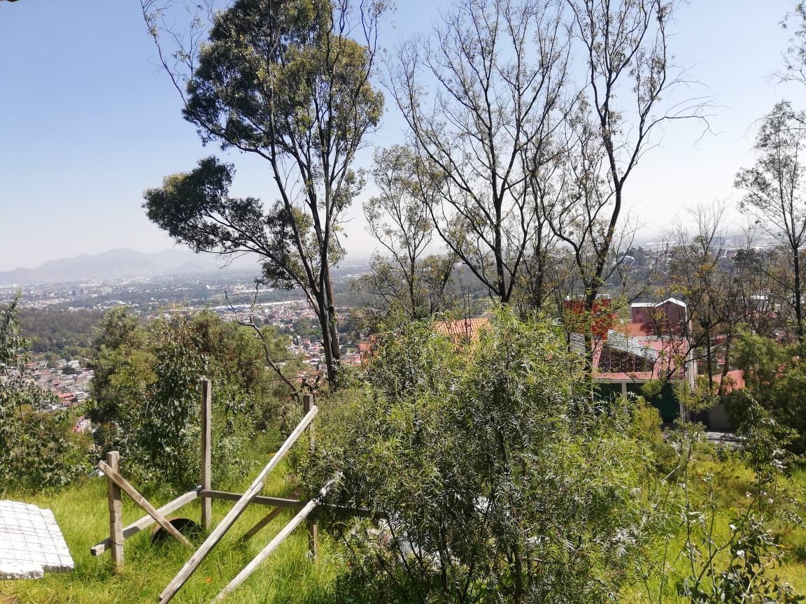 3 de 20