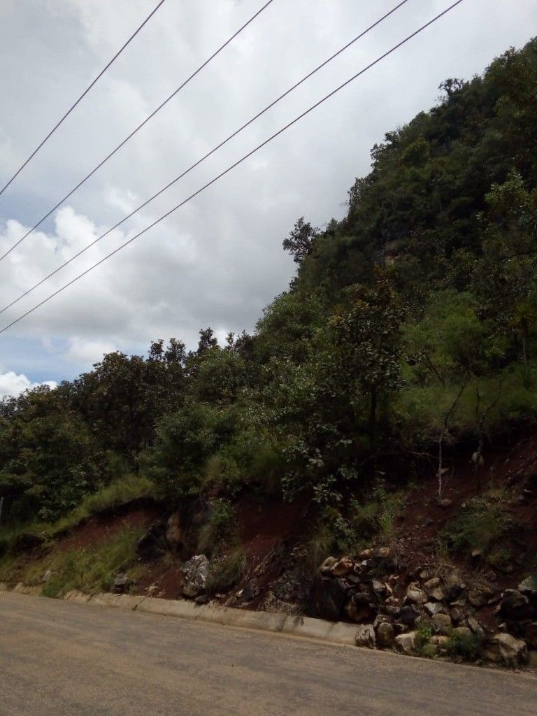 2 de 6