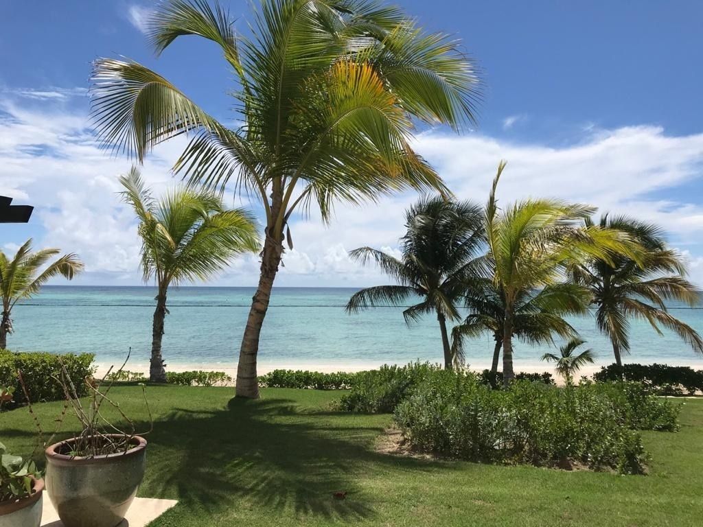 Apartamento de 2 Habitaciones en Punta Palmera | EasyBroker