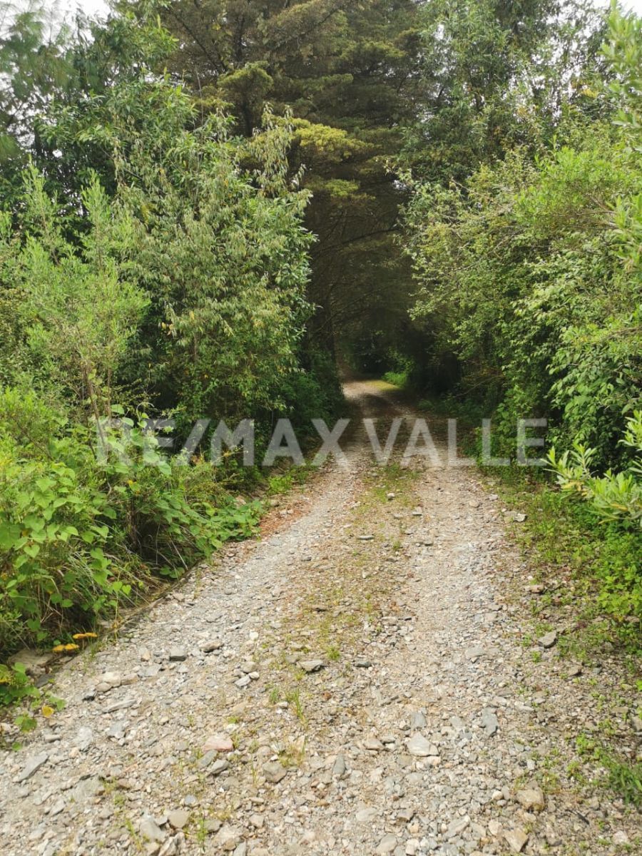 Lot in Cuadrilla de Dolores, Valle de Bravo, photo 5 of 13