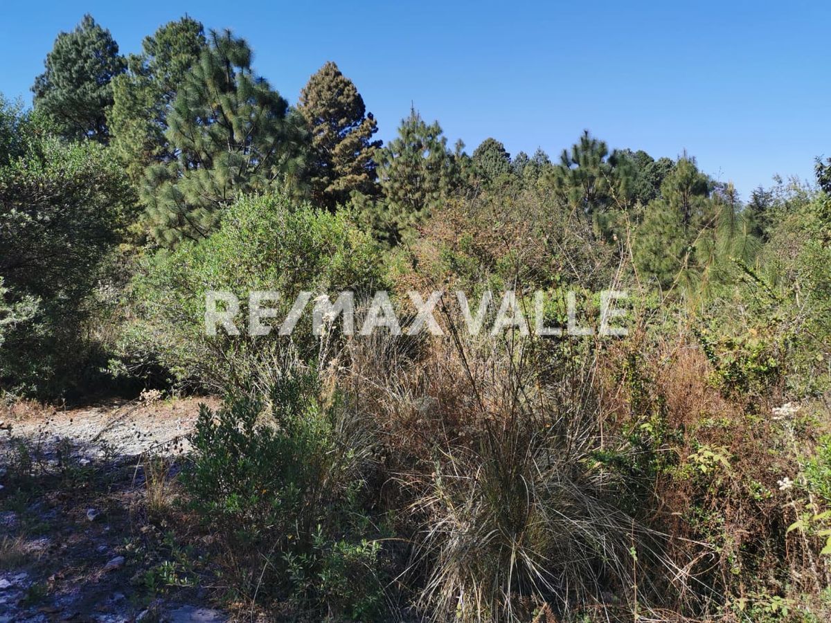 Lot in Cuadrilla de Dolores, Valle de Bravo, photo 8 of 13