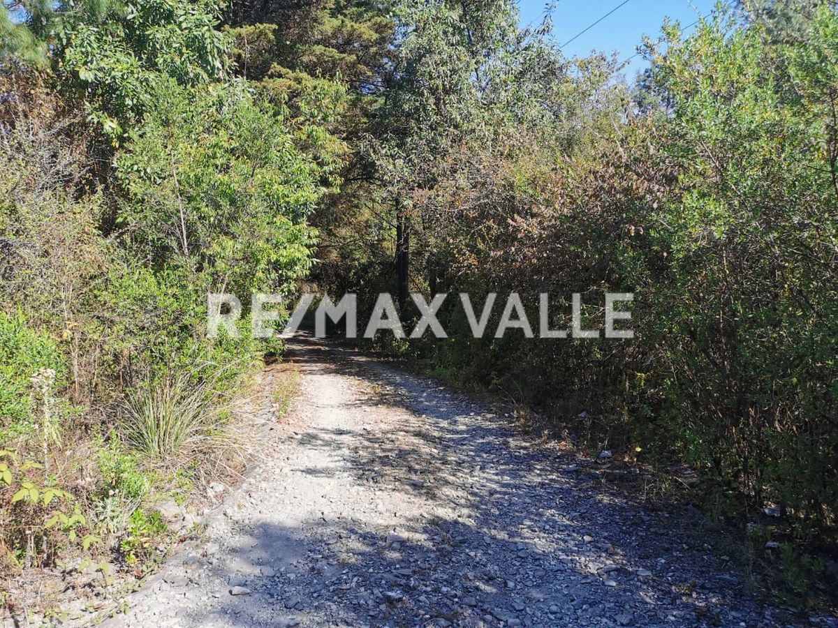 Lot in Cuadrilla de Dolores, Valle de Bravo, photo 9 of 13