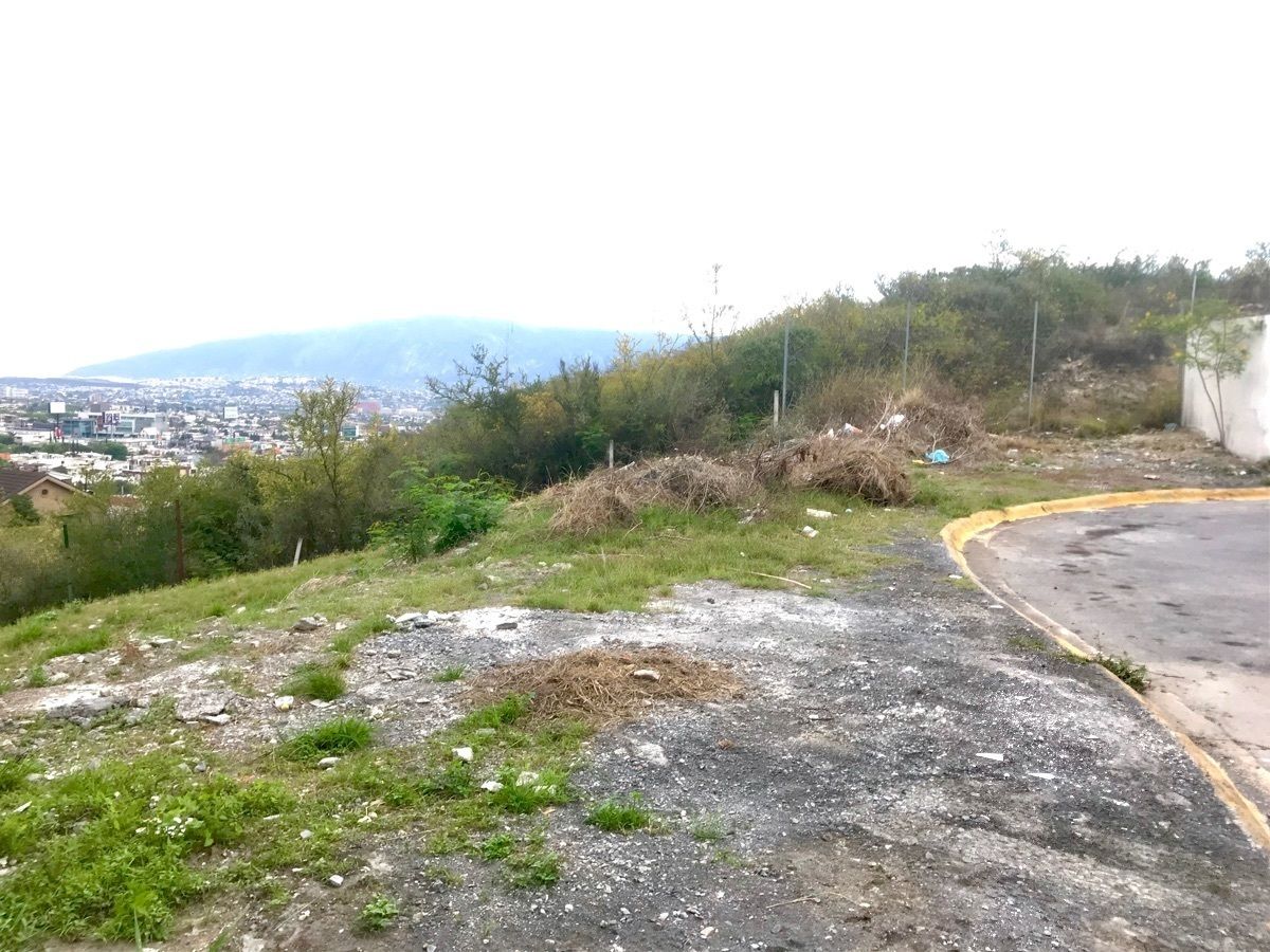 4 de 8