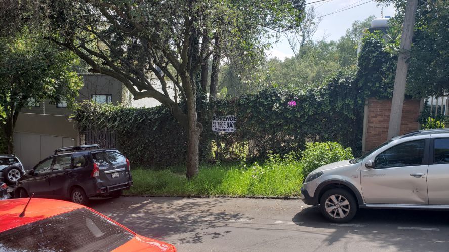 adidas Superstar | FY4505 | SPORTSHOWROOM