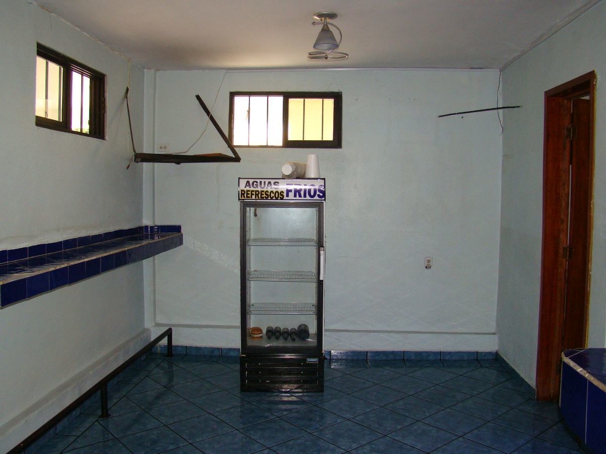 5 de 11